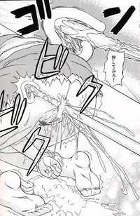 (C75) [Takakuya (Takaku Toshihiko)] Touhou Youjo Ranbu 9 (Touhou Project)