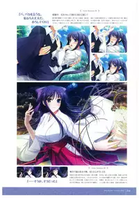 Walkure Romanze More & More Visual Fan Book