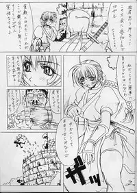 (C57) [Wolkenkratzer (Bontenkarasu)] Melancholy (Dead or Alive)