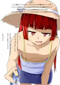 [Toudori] 夏コミお疲れ様でした（魔王の夏）