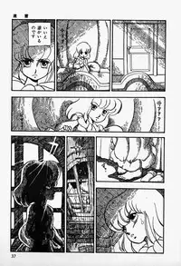 [Shinden Mako] The Riddle