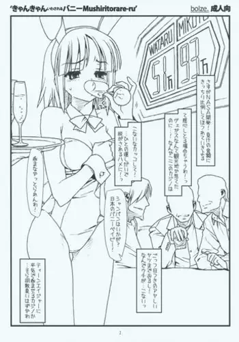 (SC42) [bolze. (rit.)] Kyankyan Iwasareru Bunny Mushiritorare-ru (Hayate no Gotoku! [Hayate the Combat Butler!])