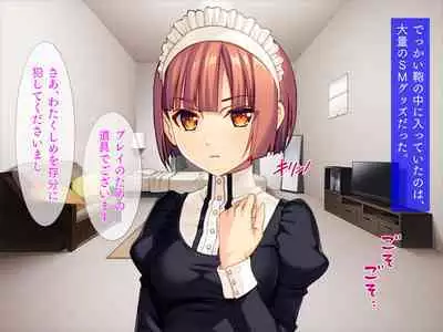 Bijin Maid to Choukyou Life