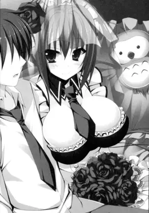 年上メイドの新婚日記