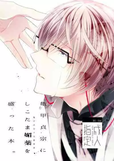 'Kikkou Sadamune ni Shikotama Biyaku o Motta Hon.'