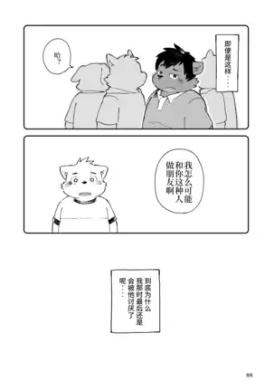 Mekko Rarekko Chuu - 欺人者被欺者·中