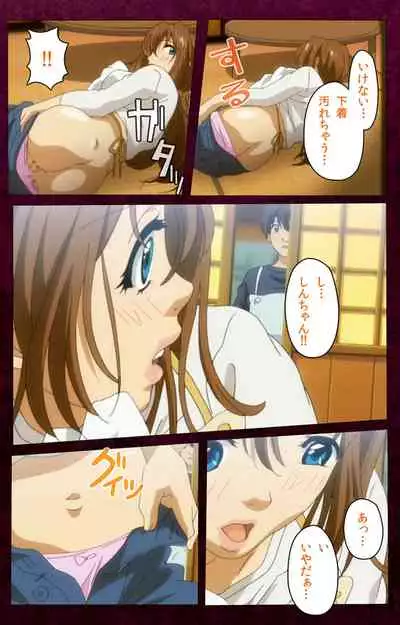 Sentakuya Shinchan kanzenhan