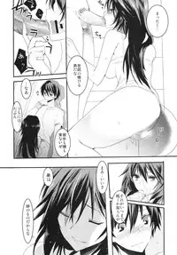 (COMIC1☆6) [Otona Shuppan (Hitsuji Takako)] Infinite ☆ Seicross 3 (IS <Infinite Stratos>)