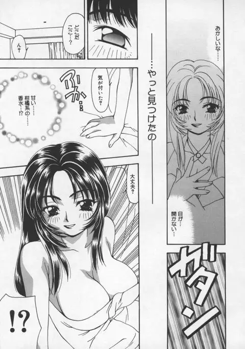 Cats On The Black Cage