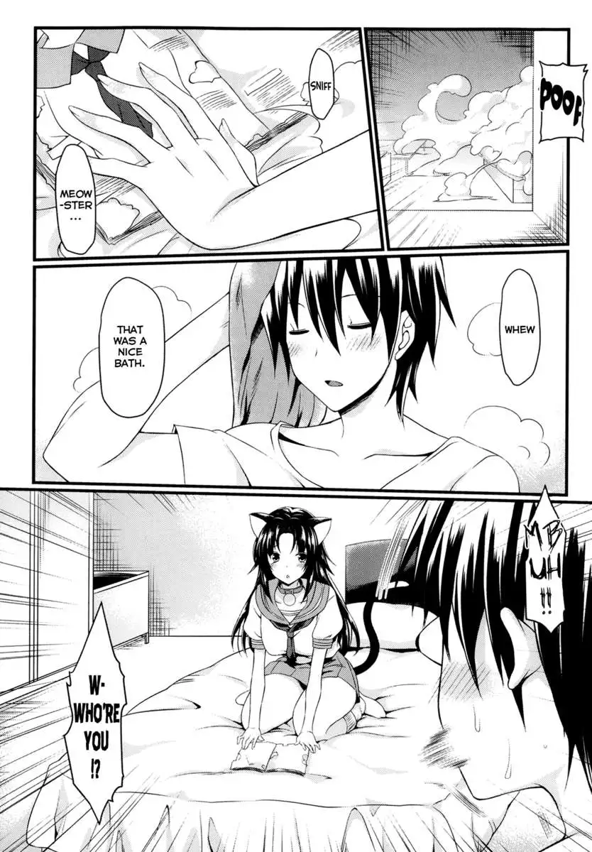 CatWoooman: The Story of a Cat and You