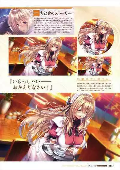 Amakano 2 Visual Fan Book