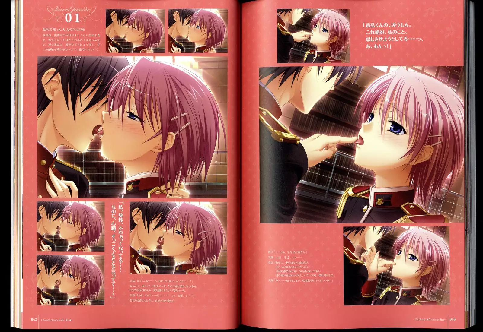 Walkure Romanze Visual Fanbook