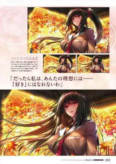 Amakano 2 Visual Fan Book