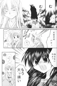 (CR33) [Sakurakan (Seriou Sakura)] Hoshikuzu Drop (Inuyasha)