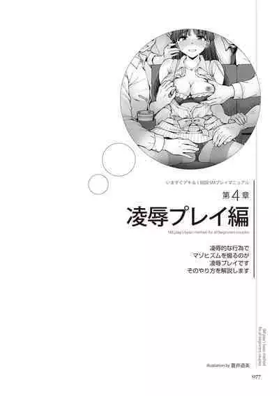 いますぐデキる 図説SMプレイマニュアル