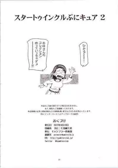 Star Twinkle PuniCure 2