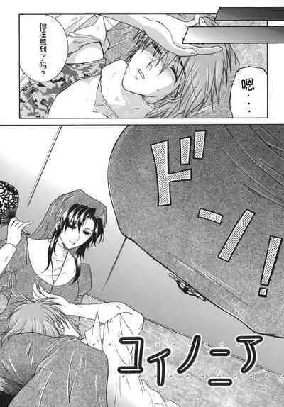 Gaden Insui（chinese）