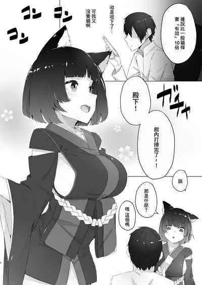 Churu Trip | 貓條~〇陶醉