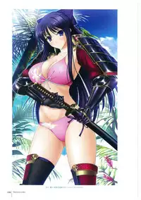 Walkure Romanze More & More Visual Fan Book