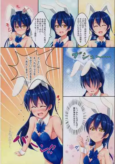 UMI BUNNY