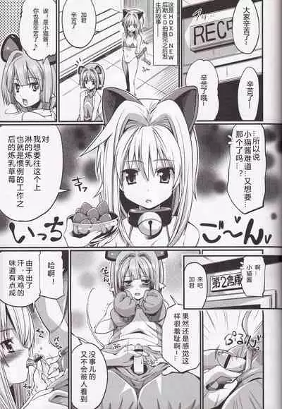 (C85) [Z-TABUKURONEKO HOUSE (Gyonikun)] Koneko-tan to, Gasper-kyun (Highschool DxD) [Chinese] [裁秘汉化]