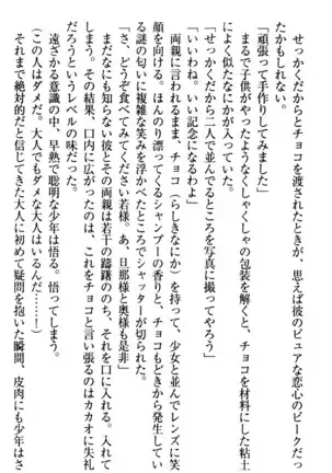 年上メイドの新婚日記