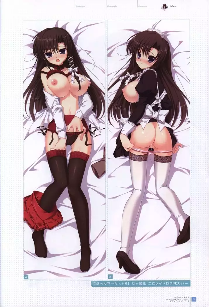 Manatsu no Yoru no Yukimonogatari -MIDSUMMER SNOW NIGHT- Visual Fanbook