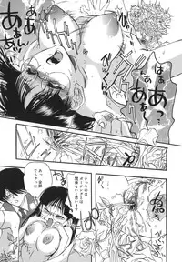 [Yoshida Furawa] Flower EXpress