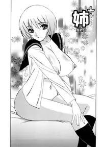 [Yamamoto Yoshifumi] Ane Plus