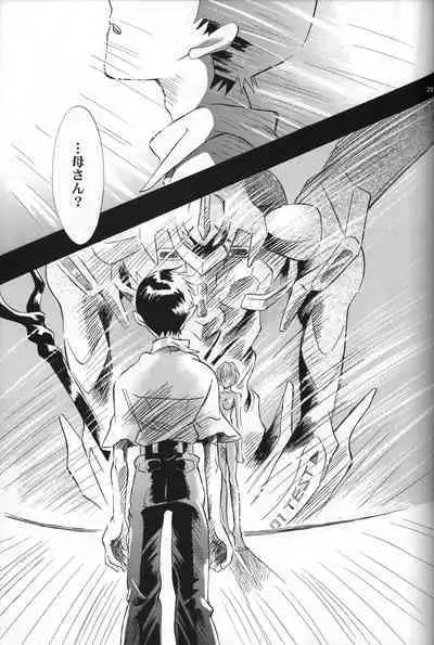 <Shinyaku> NEON GENESIS document R