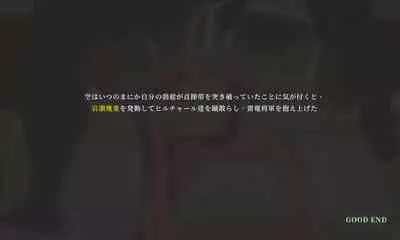 NTR Fantasy in the Sky - Raiden Shogun