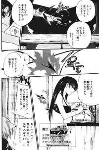 COMIC PAPIPO 2006-07