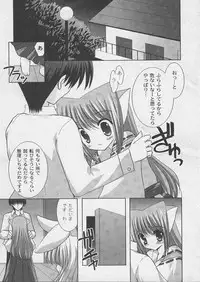 [ShikigamiAzuma]God Chome cat