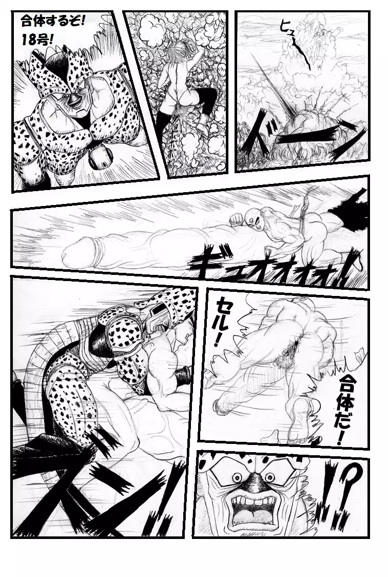 Pokochin Ball H 3: Cell vs C18