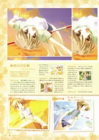 Canvas Visual Fan Book