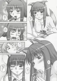 (C74) [2Stroke (YTS Takana)] 2Stroke TY (Spice and Wolf)