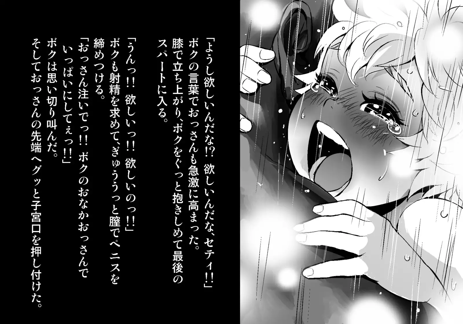 フェアリーセティ