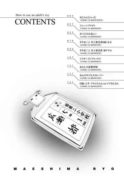 Otona no Omocha no Tsukaikata | 大人的玩具的使用方法