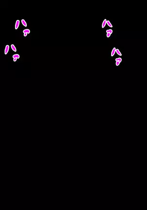 Callers In the Night