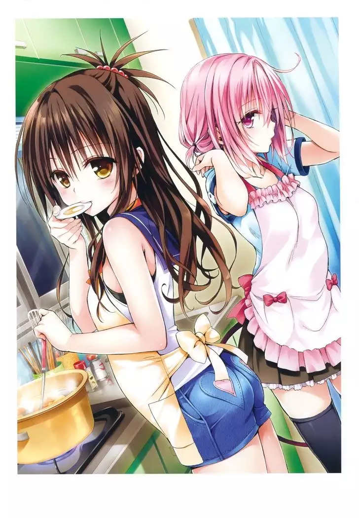 To Love-Ru -Trouble- Darkness Artbook Harem Gold