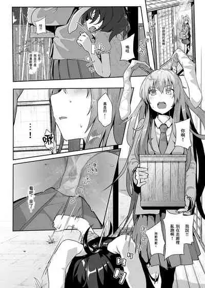Hatsujou Usagi no Yoru wa Nagai