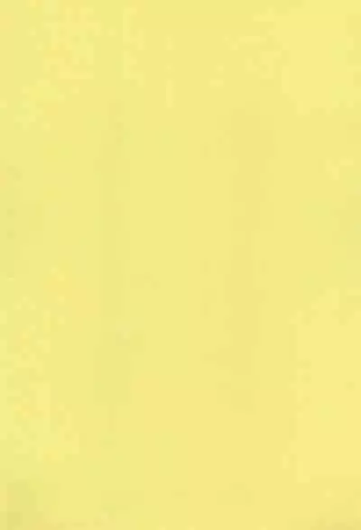 SYL - Spread Your Legs