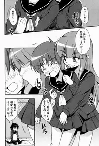 [Nippori] Daisy Blue