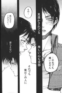 (FALL OF WALL Osaka) [Ongire (Tamy)] Ficus 2 (Shingeki no Kyojin)