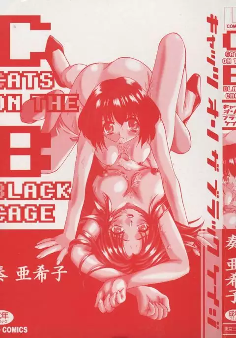 Cats On The Black Cage