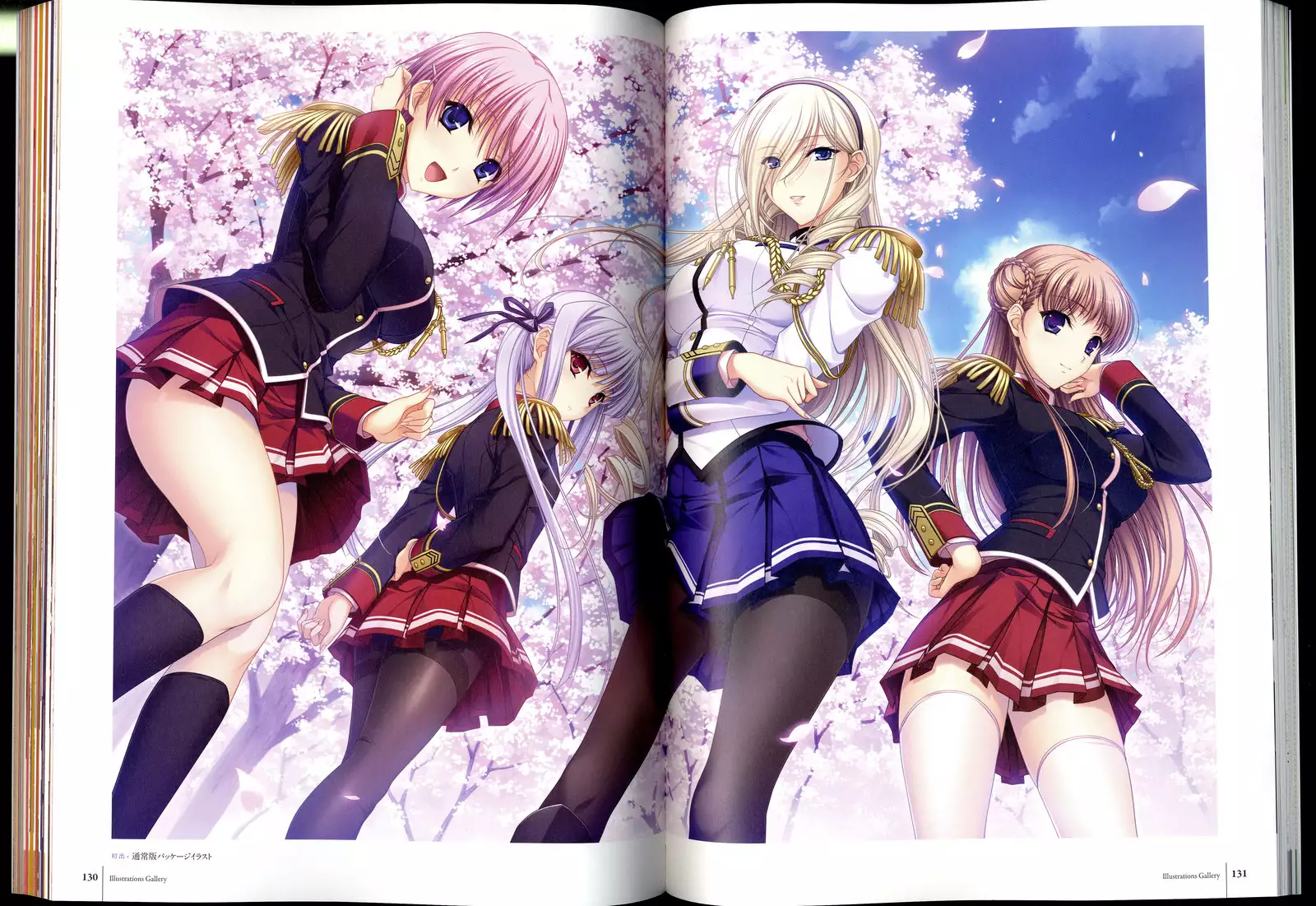 Walkure Romanze Visual Fanbook