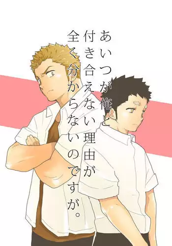 Aitsu ga Ore to Tsukiaenai Riyuu ga Mattaku Wakaranai no desu ga.