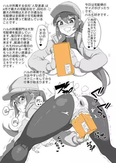 Haru Delivery Preparation