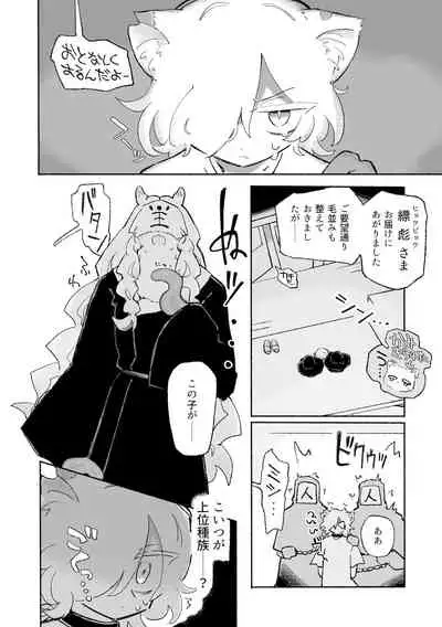 ねこちゃんはきゅうすいき