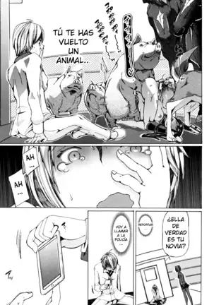 Juukan Kyoushitsu - ***** Class